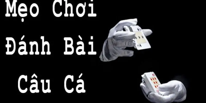 cach choi bai cau ca 3 Bật mí cách chơi bài câu cá luôn thắng